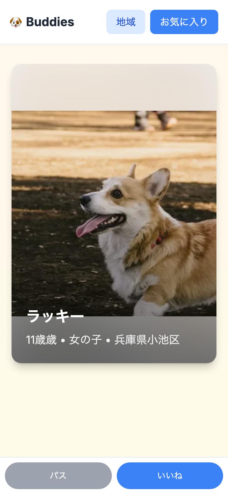 保護犬をスワイプして探す